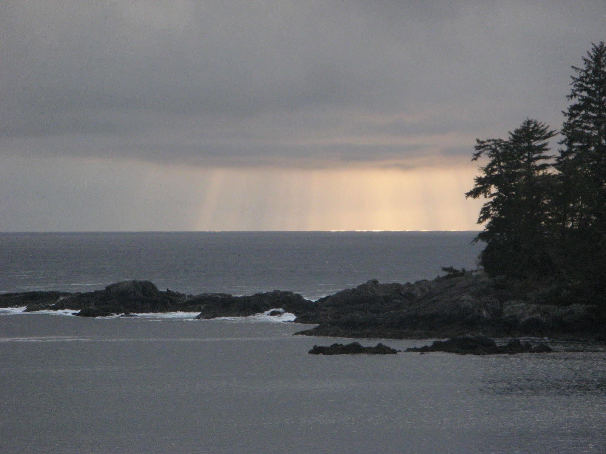 Reef Point Oceanfront Bed And Breakfast Ucluelet Extérieur photo
